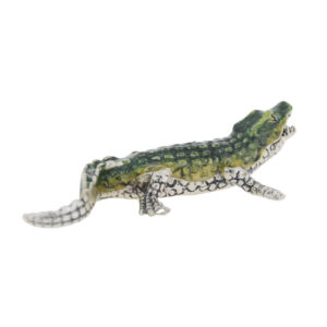 12881s Crocodile small back