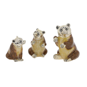 12061 Bears