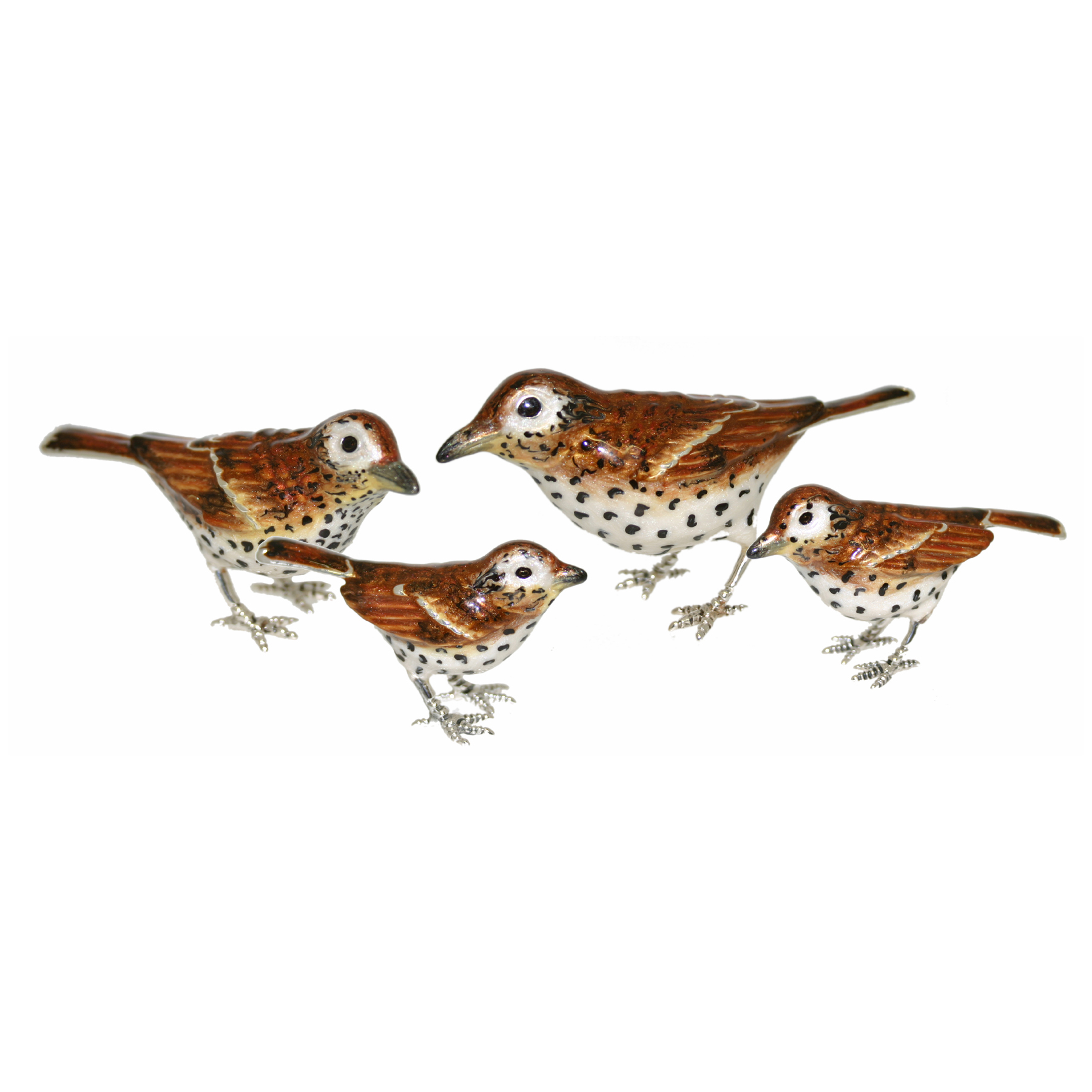 13196 Thrush full set