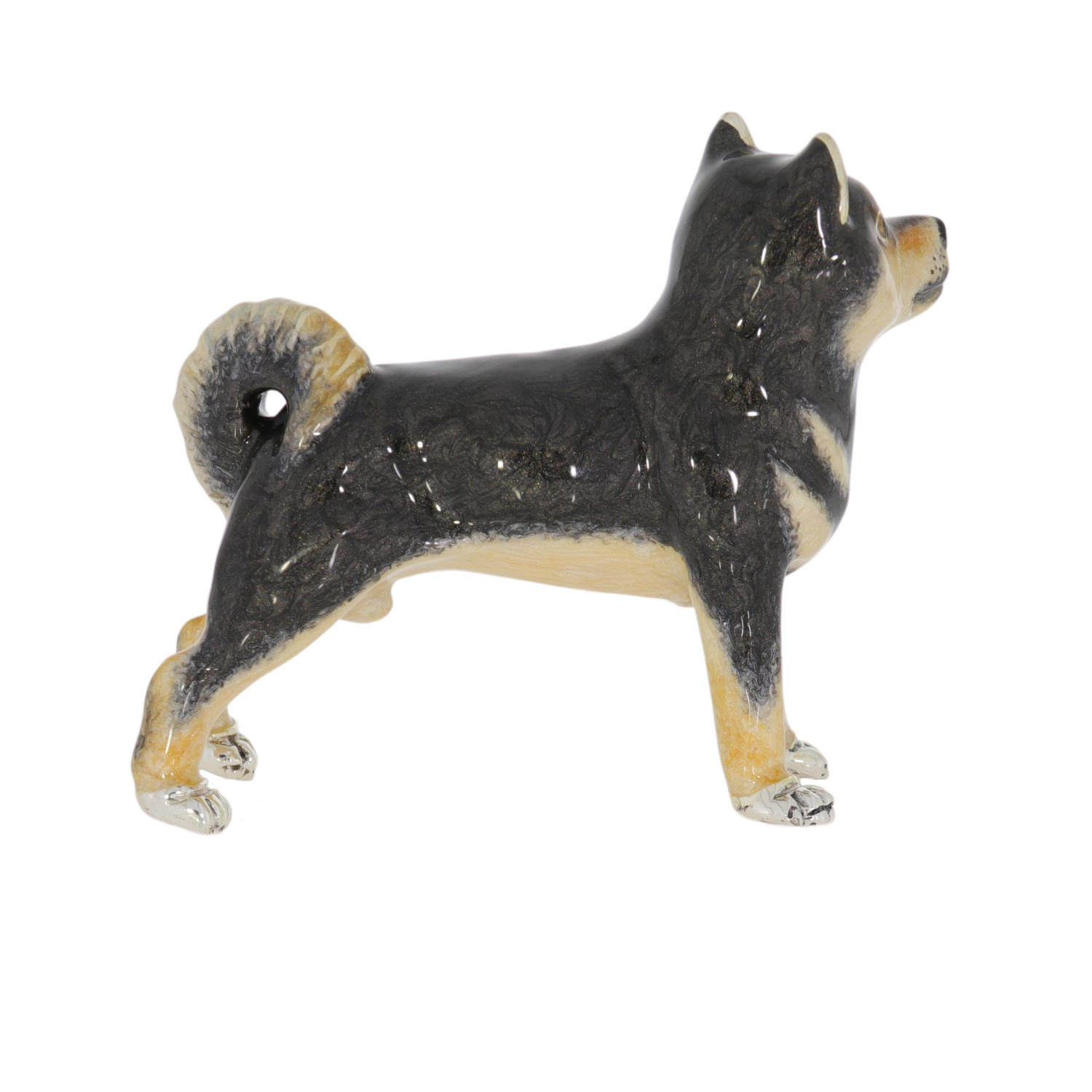 13339 Shiba Inu back