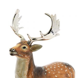 13410 Deer fallow very large close up