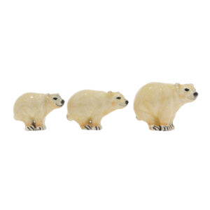 13002 Polar Bears