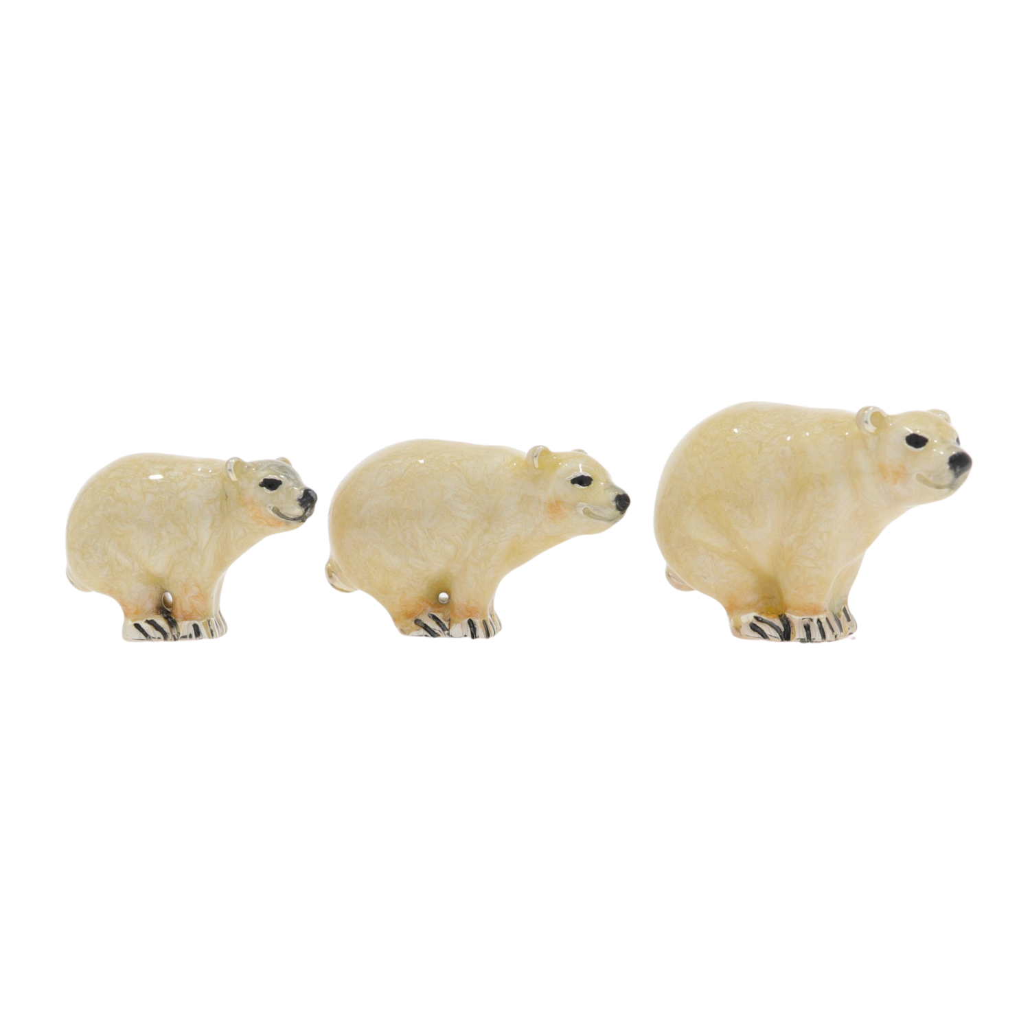 13002 Polar Bears