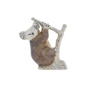 11431 Koala on branch back