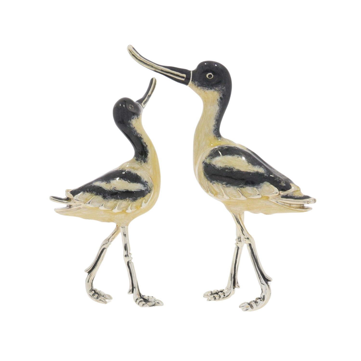 13185 Avocets back