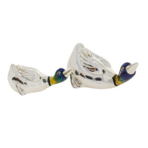 11636 Ducks aggressive
