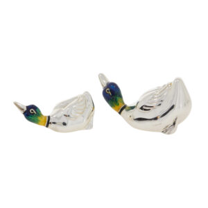 11636 Ducks aggressive back