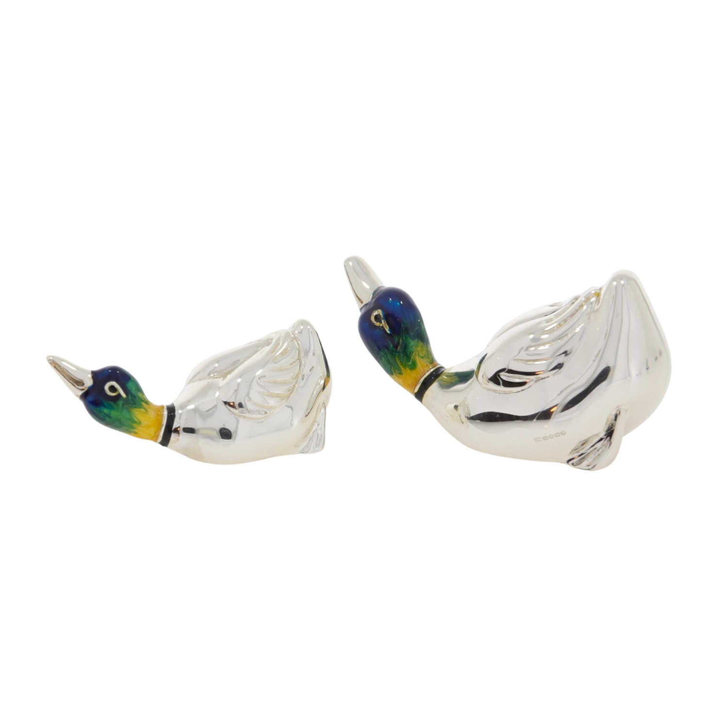 11636 Ducks aggressive back