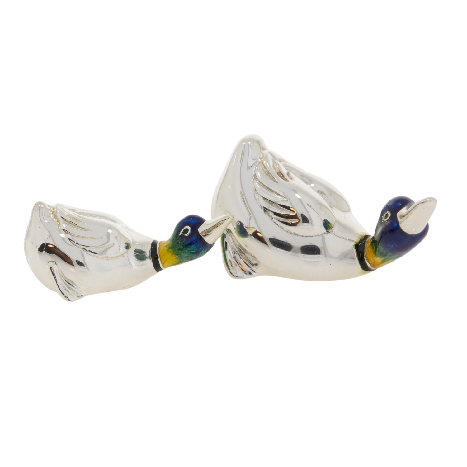 11636 Ducks aggressive